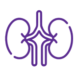 KIDNEY