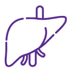 LIVER